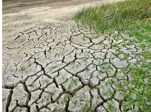 Desertificazione: una minaccia crescente